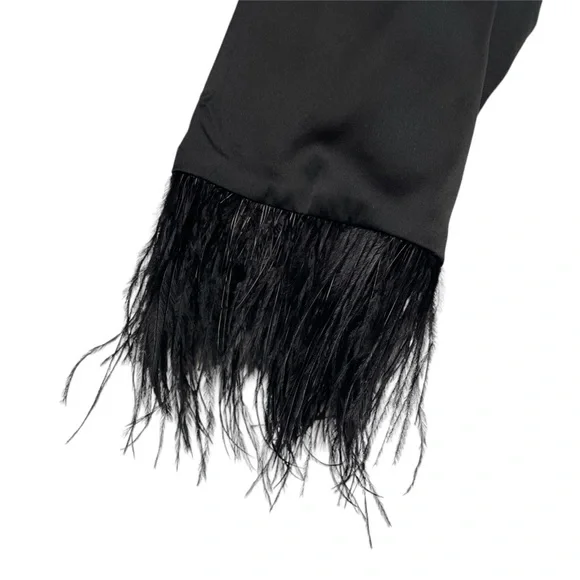 NWT Black Feather Sleeve Cropped Blazer Medium - Picture 4 of 7